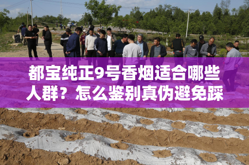 都宝纯正9号香烟适合哪些人群？怎么鉴别真伪避免踩坑？