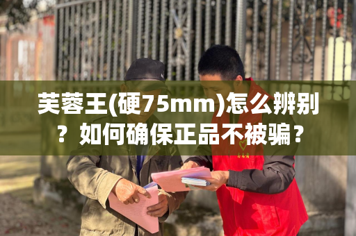 芙蓉王(硬75mm)怎么辨别？如何确保正品不被骗？